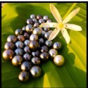 Perles de Tahiti